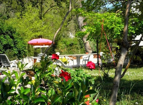 Fleurs et verdure dans le jardin de l’hôtel